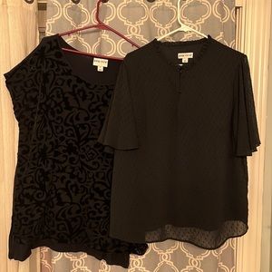 2 short sleeve Ava &Viv tops. 1X